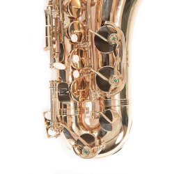 Saxofón Tenor LA MUSA E-1 M. Delgado-1