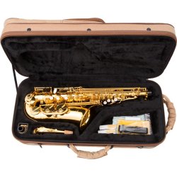 Saxofón alto ARNOLDS & SONS AAS-110-1