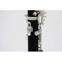 Clarinete J. MICHAEL CL-360-1