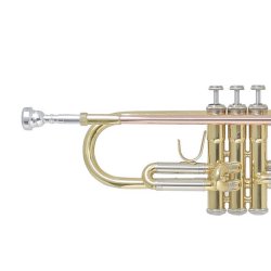 Trompeta BACH TR-655 Sib-1