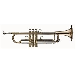 Trompeta SCHAGERL James Morrison Yellowbrass