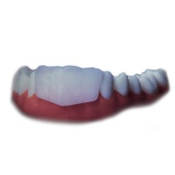 Protector Dental SILVERSTEIN Omniguard -3