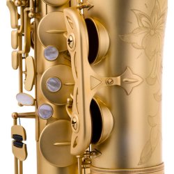 Saxofón Tenor ANTIGUA Model 25 TS4348-1