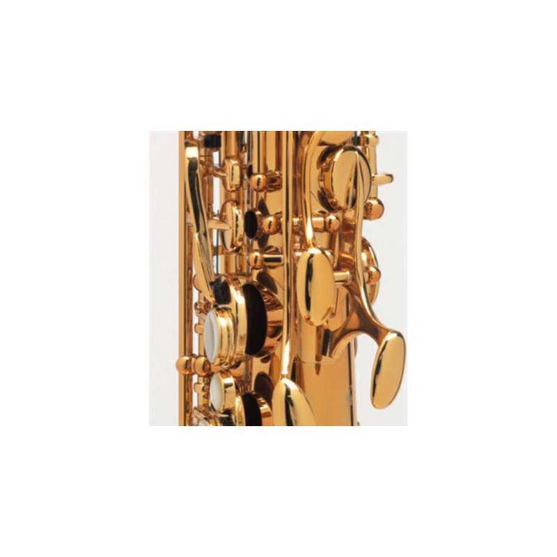 Saxofón Alto SELMER París SUPREME DGG-7