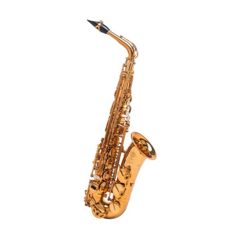 Saxofón Alto Selmer Signature DGG