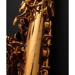 Saxofón Alto Selmer Signature DGG-8