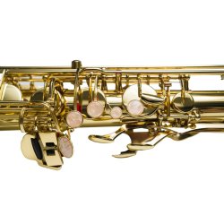 TAYLOR COLLINS TCTS-01 Tenor Saxophone