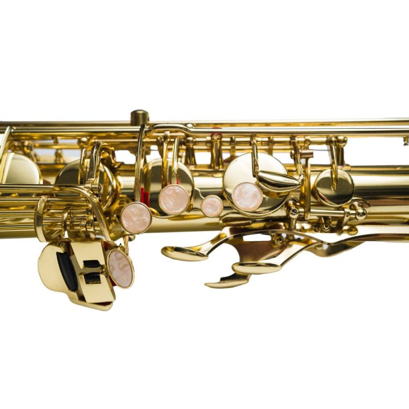 TAYLOR COLLINS TCTS-01 Tenor Saxophone