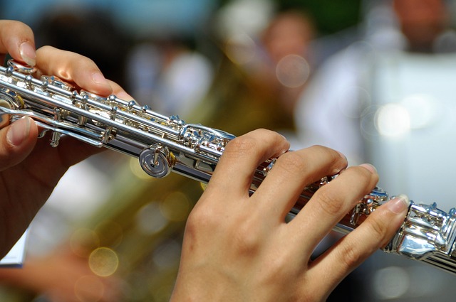 ¿Conoces qué tipos de flautas existen?