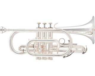 Cornet