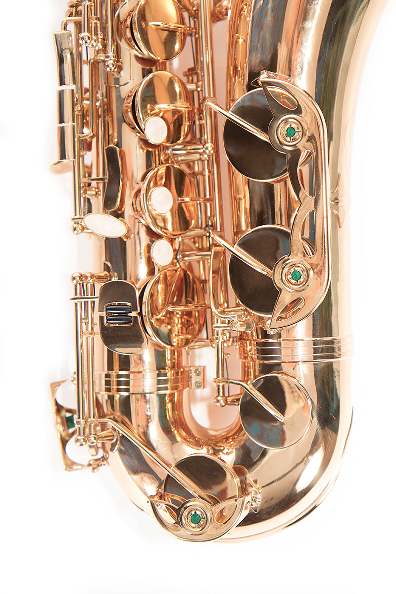 Saxofón Tenor LA MUSA E-1 M. Delgado-1