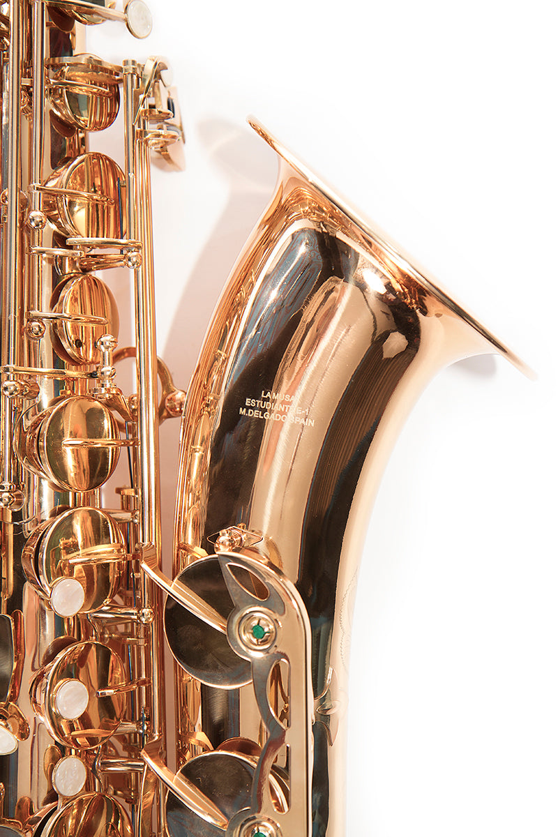 Saxofón Tenor LA MUSA E-1 M. Delgado-2