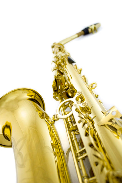 Saxofón Alto LA MUSA P-1 M. Delgado-1