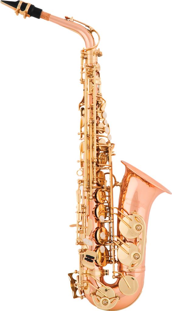 Saxofón alto ARNOLDS & SONS AAS-100G