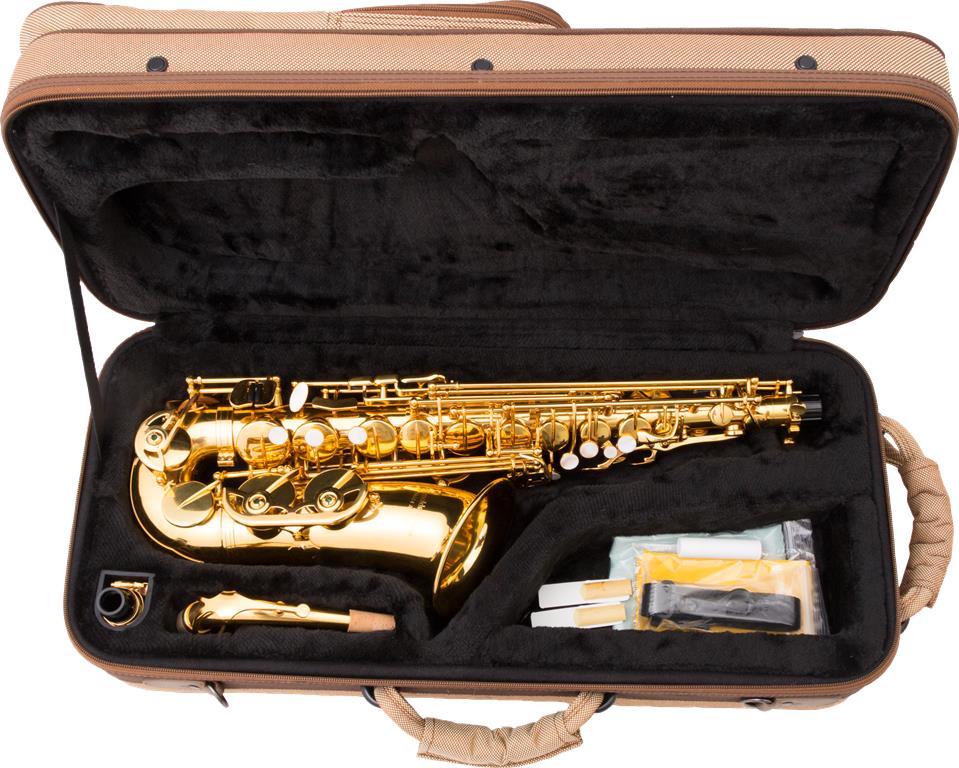 Saxofón alto ARNOLDS & SONS AAS-110-1