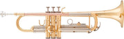 Trompeta ARNOLDS & SONS ATR-235
