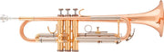 Trompeta ARNOLDS & SONS ATR-4200G "Terra"