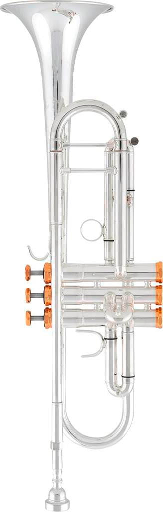 Trompeta ARNOLDS & SONS ATR-5200GSG "Terra"