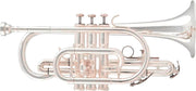 Corneta ARNOLDS & SONS ACR-4220S "Terra"