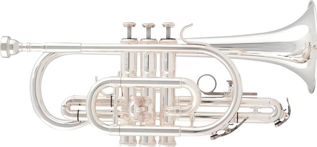 Corneta ARNOLDS & SONS ACR-4220S "Terra"