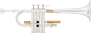 Trompeta ARNOLDS & SONS ATR-4600GS Eb/D "Terra"