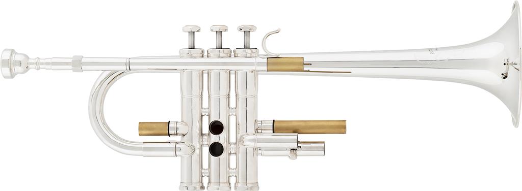 Trompeta ARNOLDS & SONS ATR-4600GS Eb/D "Terra"