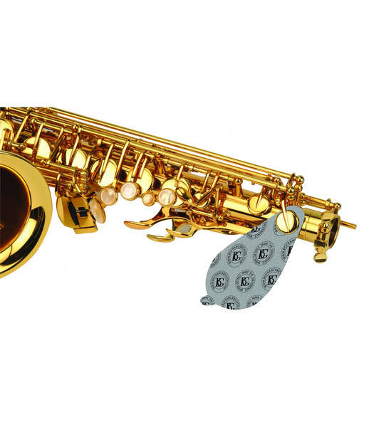 Secador BG A65S -1