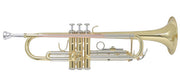 Trompeta BACH TR-655 Sib