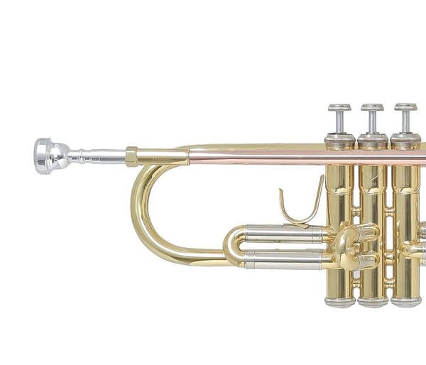 Trompeta BACH TR-655 Sib-1