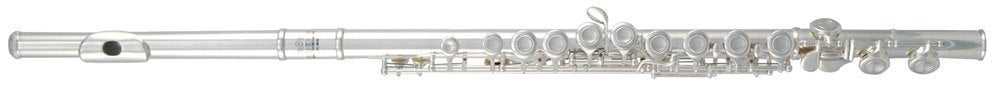 Flauta ROY BENSON FL-402E