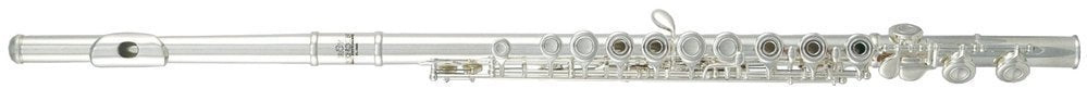 Flauta ROY BENSON FL-402R