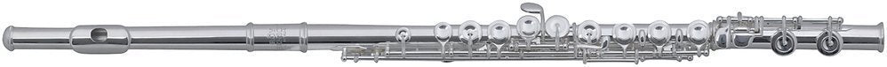 Flauta ROY BENSON FL-602E