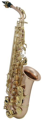 Saxofón Alto ROY BENSON AS-202G