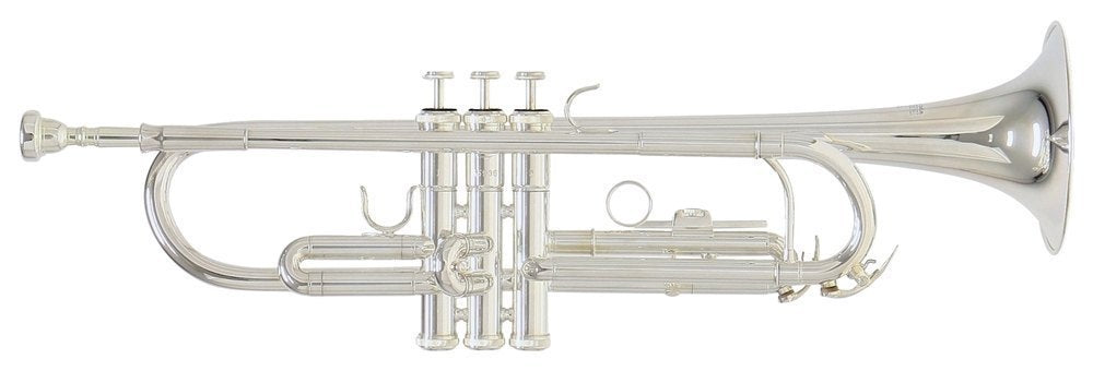 Trompeta ROY BENSON TR 202S