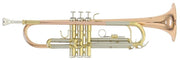 Trompeta ROY BENSON TR 202G