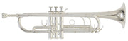 Trompeta ROY BENSON TR 403S