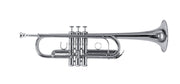 Trompeta ROY BENSON TR 402CS en Sib/Do