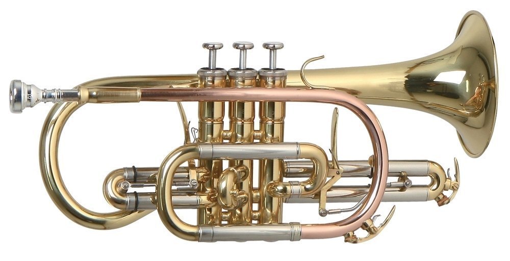 Corneta ROY BENSON CR 302 