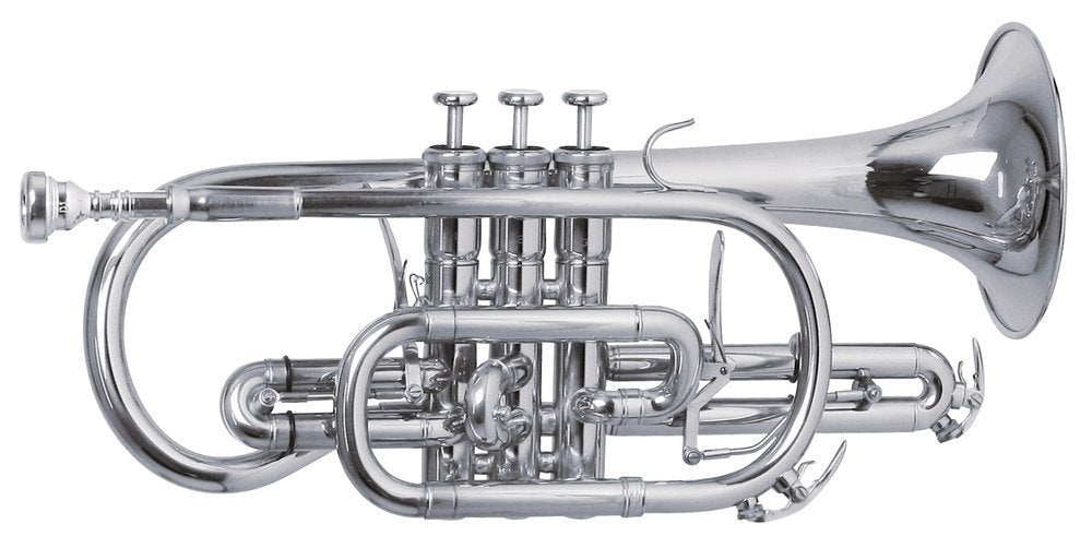 Corneta ROY BENSON CR 302S