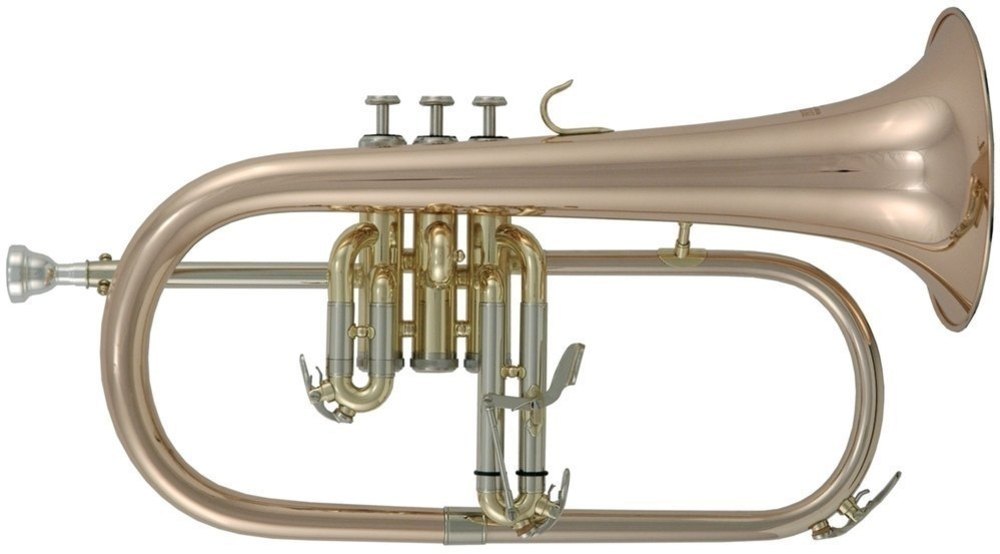 Fliscorno ROY BENSON  FH-302G 