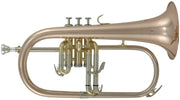 Fliscorno ROY BENSON  FH-302G 