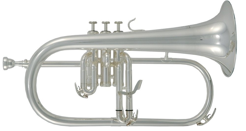 Fliscorno ROY BENSON  FH-302S 