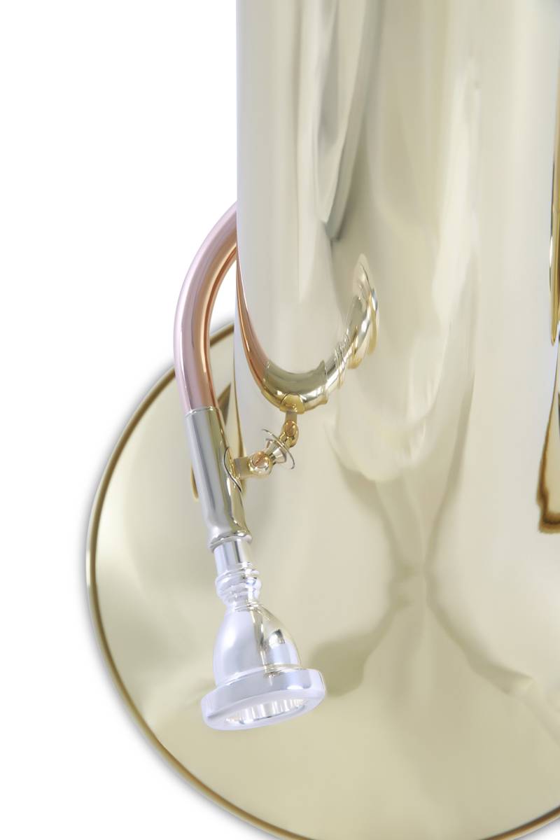 Tuba ROY BENSON TB-312C-2