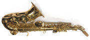 Saxofón soprano curvo LA MUSA E-1 M. Delgado
