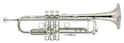 Trompeta BACH 190S 37 Plateada