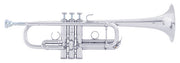 Trompeta BACH Artisan AC190 Plateada