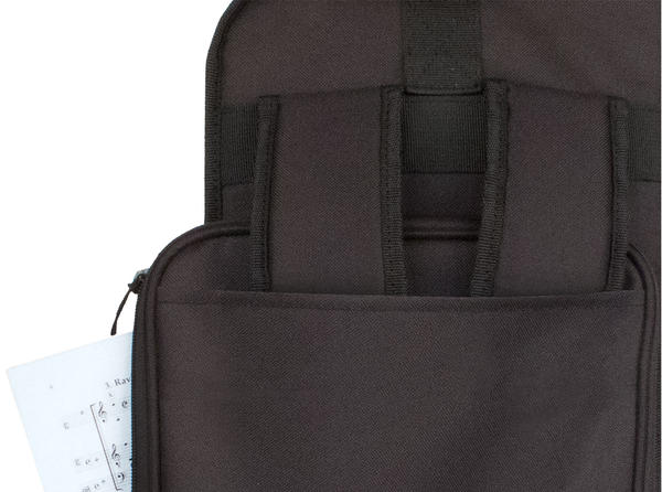 Estuche PROTEC Explorer Gig Bag C244X para Fliscorno-3