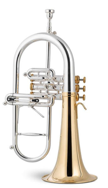 Fliscorno STOMVI Master