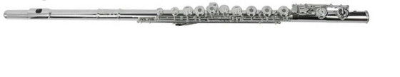 Flauta DI ZHAO 501 RCE 