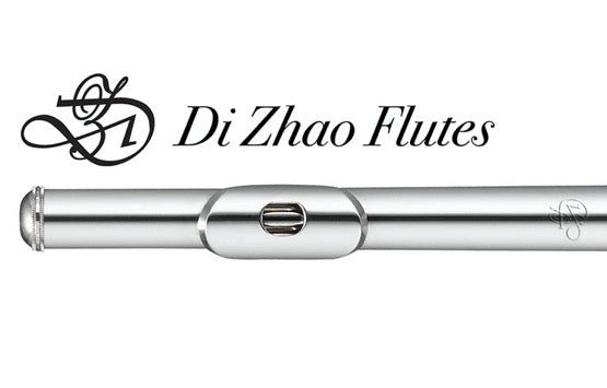 Flauta DI ZHAO 501 RCE -0
